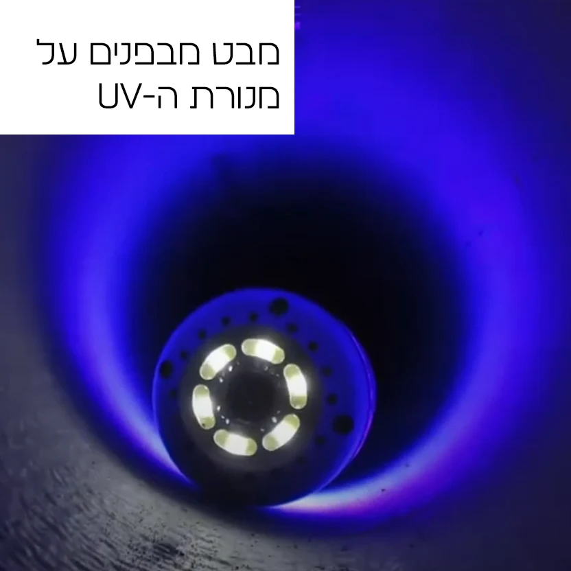 מבט מבפנים על מנורת האולטרה סגול